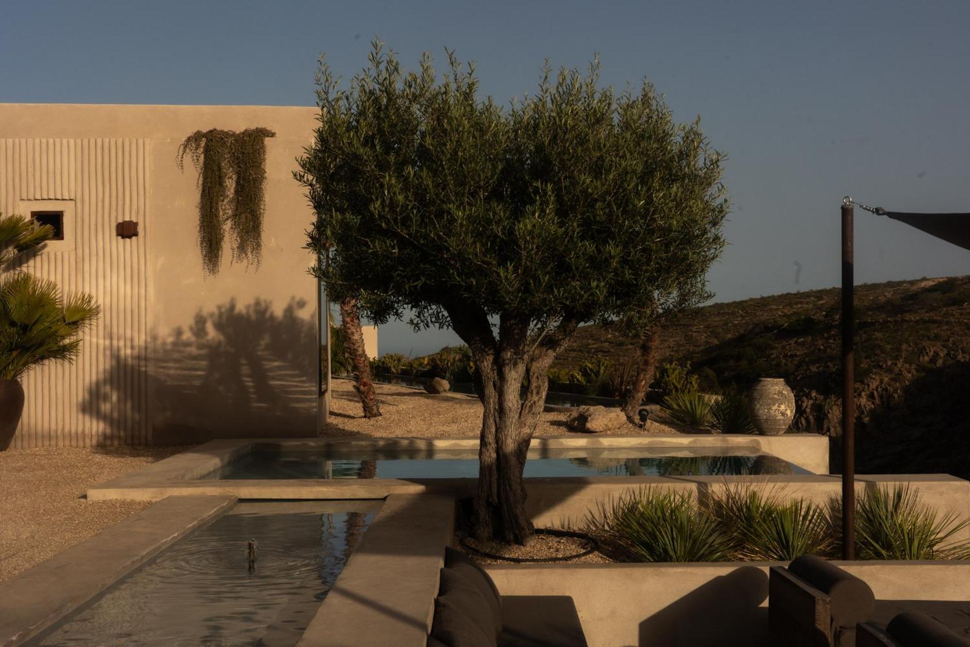 Ecohotel El Agua * Arico el Nuevo